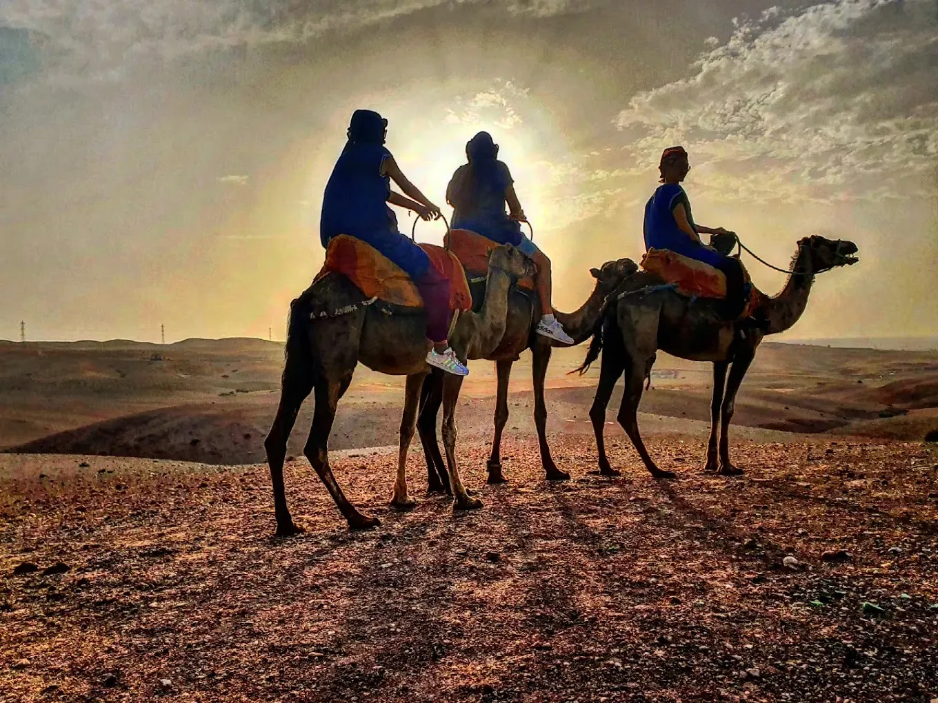 Camel Trekking Experience in Agafay | Half-Day